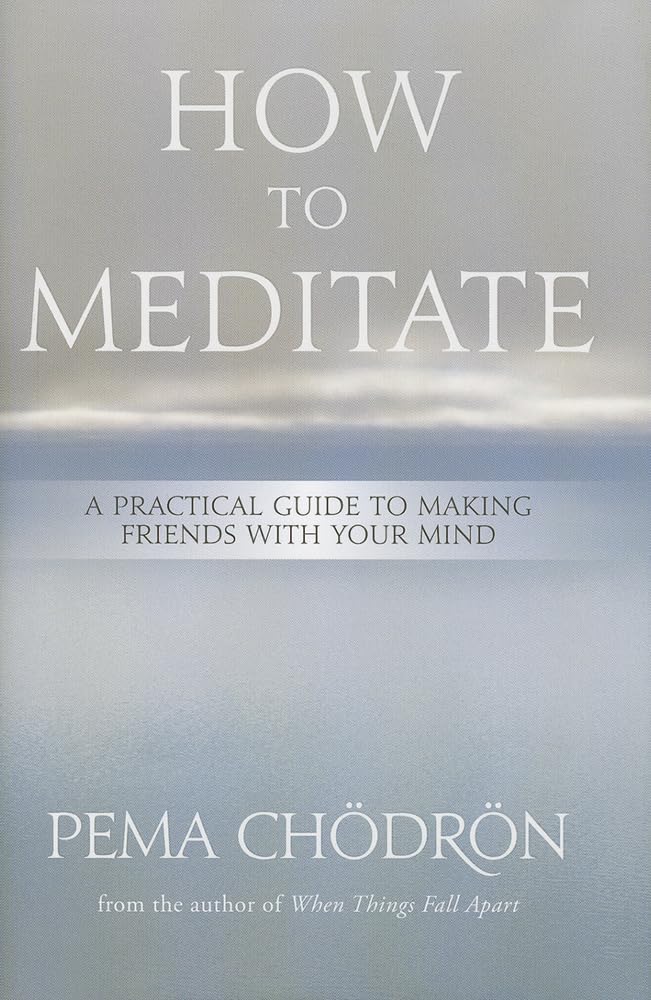 How to Meditate: A Practical Guide to Making Friends with Your Mind (used)