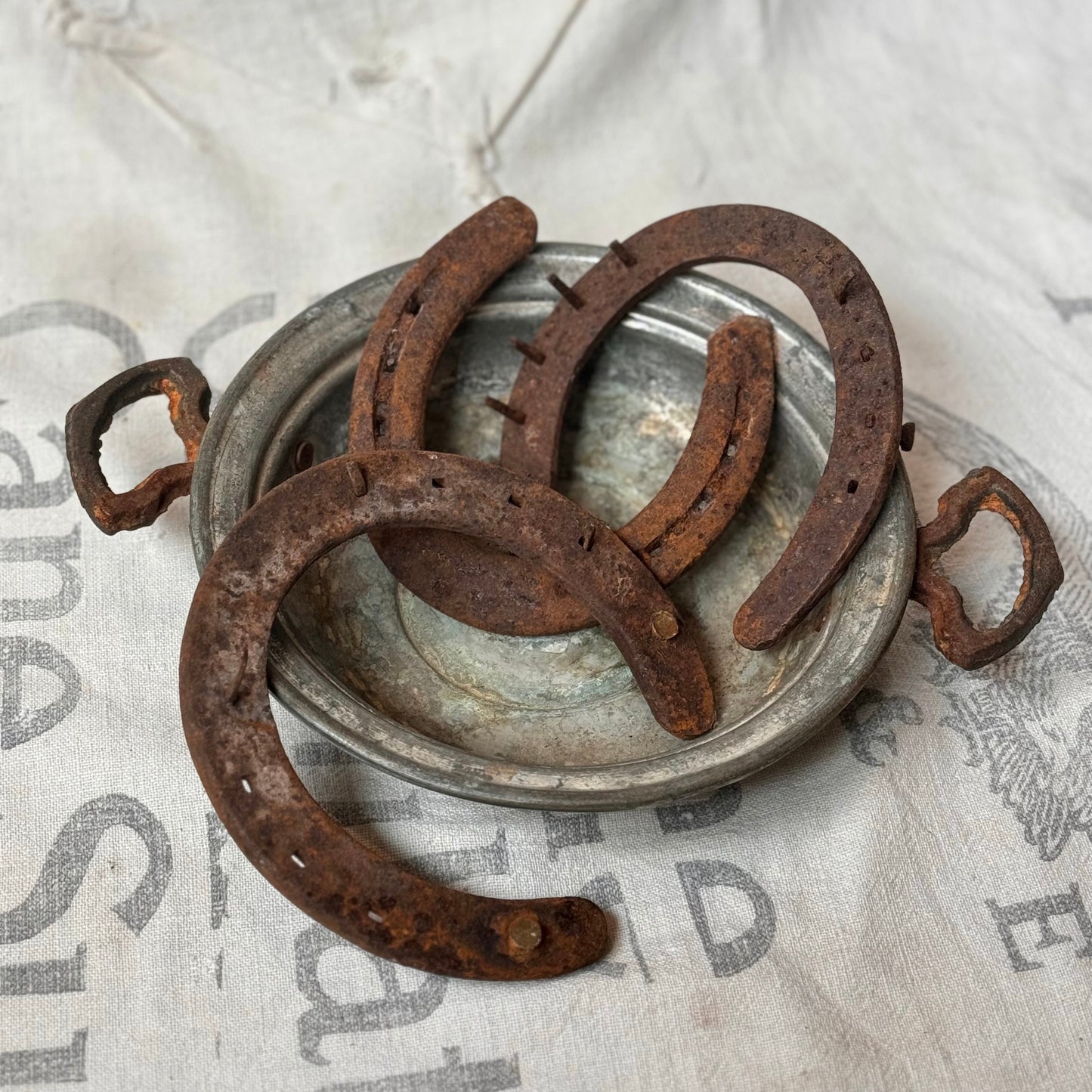 Iron Horseshoe
