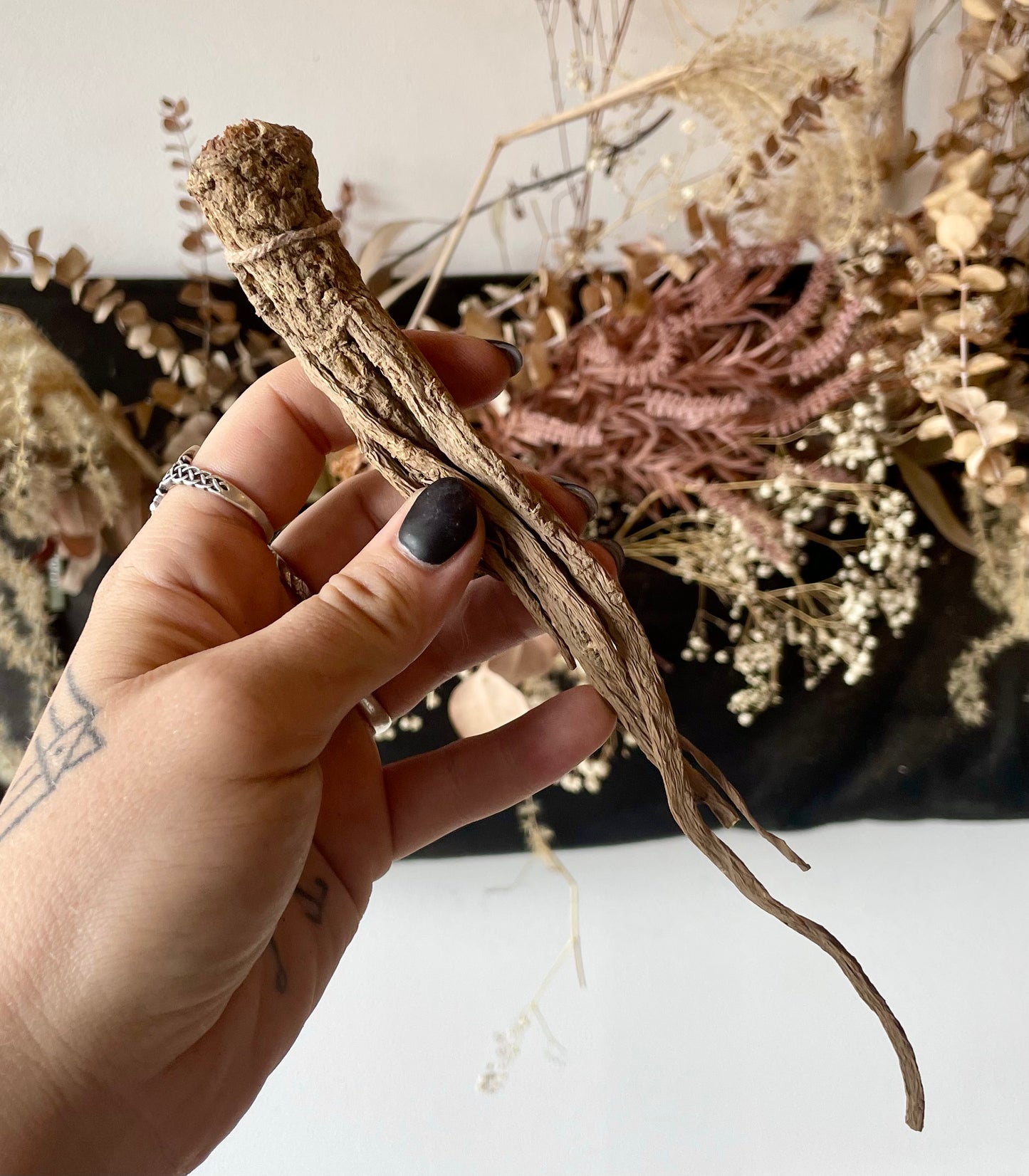 Master Root, Whole