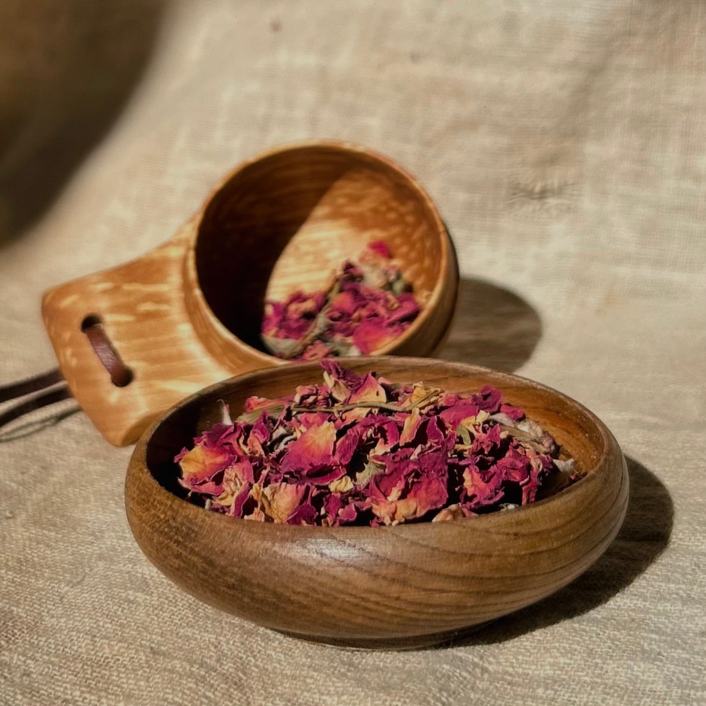 Red Rose (Buds and Petals)