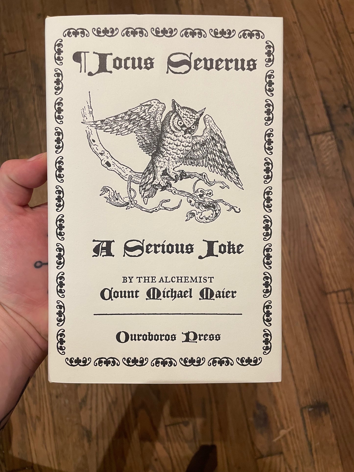 Jocus Severus: The Serious Joke (Hardcover)