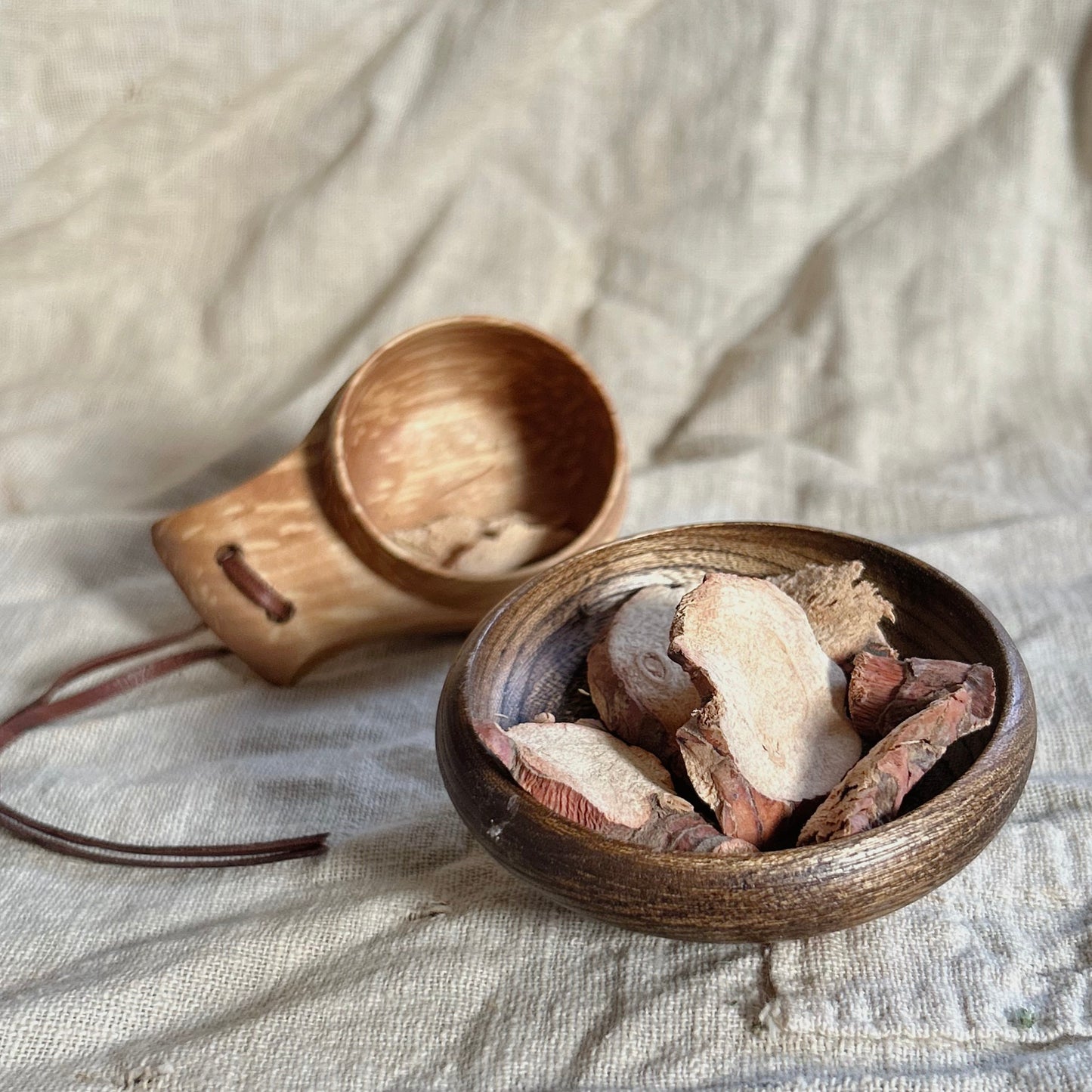 Galangal (Little Jon to Chew)