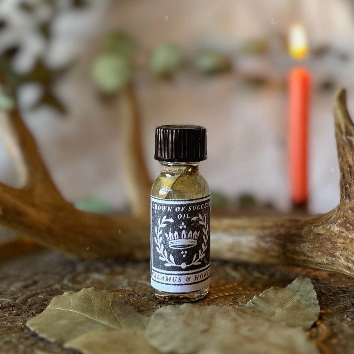 Crown of Success Oil