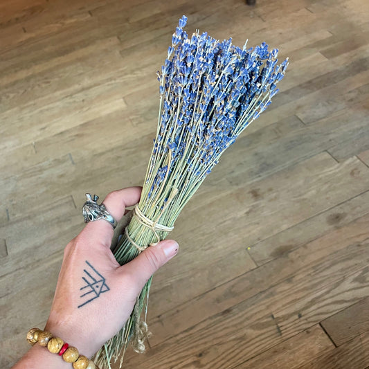 French Lavender Flower Bundle