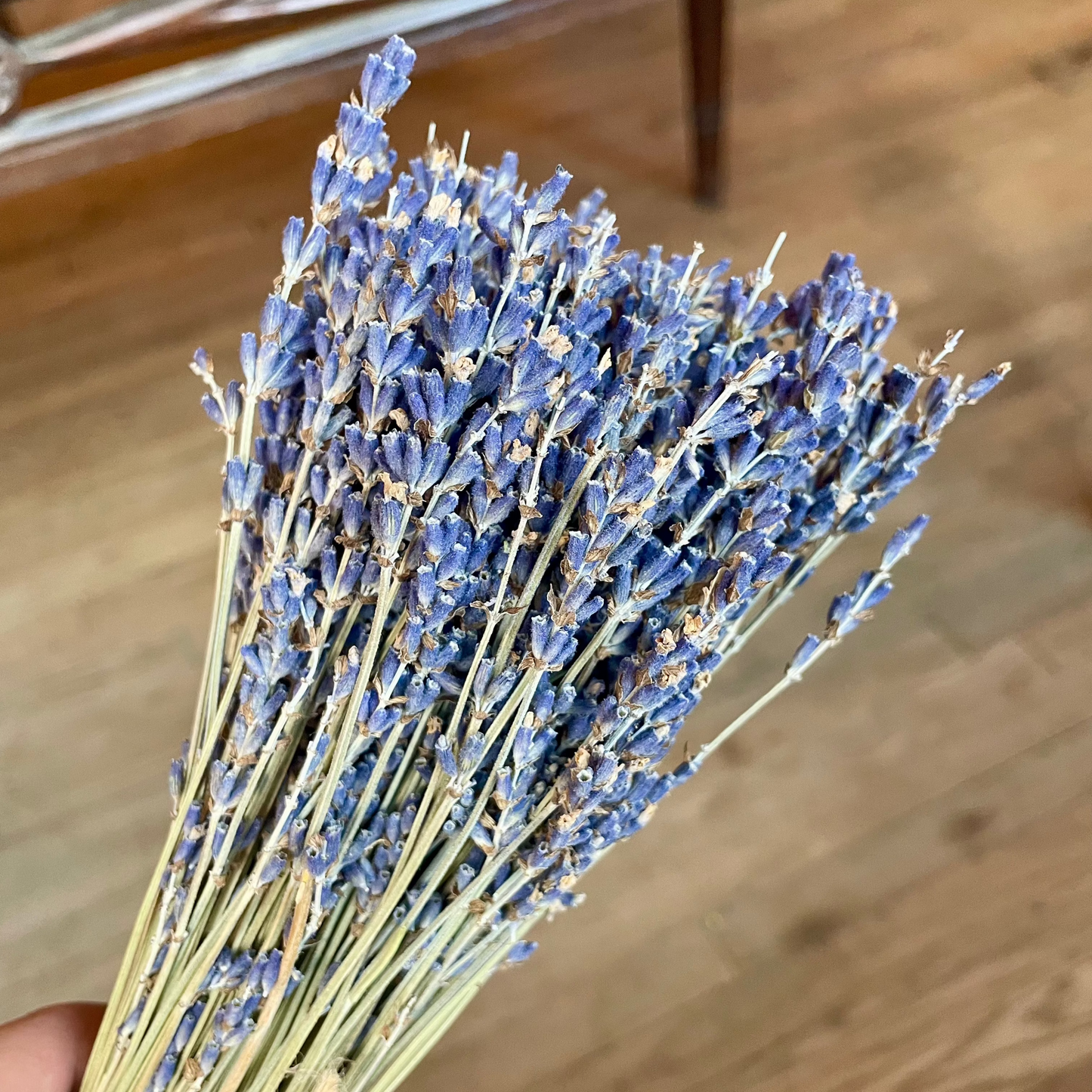 French Lavender Flower Bundle