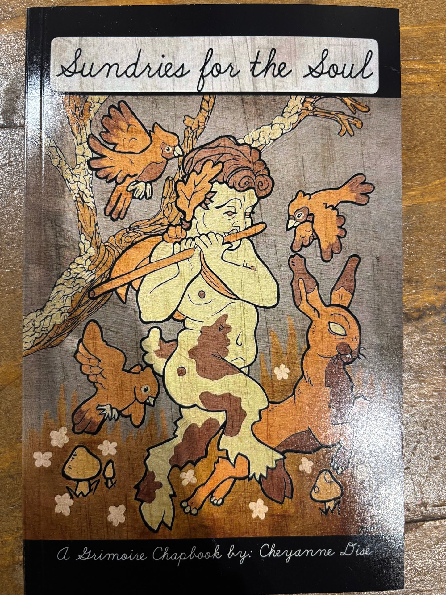 Sundries for the Soul Chapbook by MuggaRose