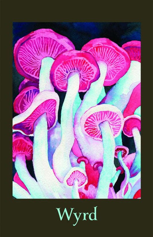 WYRD Journal Vol. V (used)