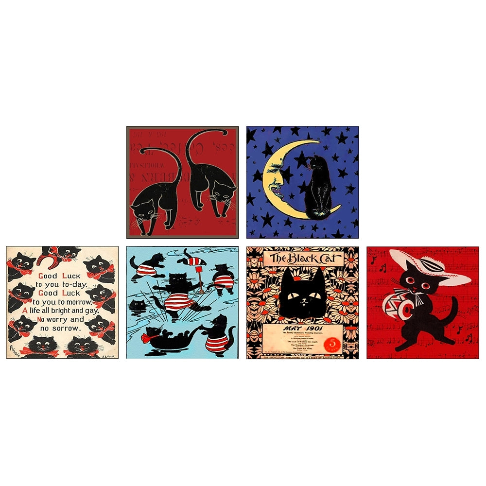 Matches Black Cat Square
