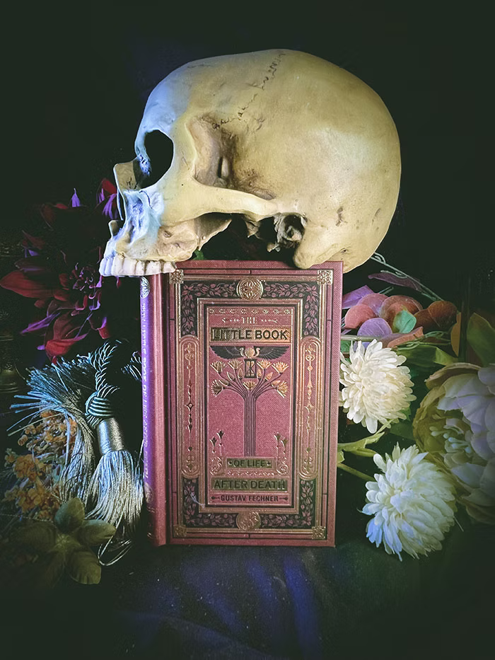 The Little Book of Life After Death