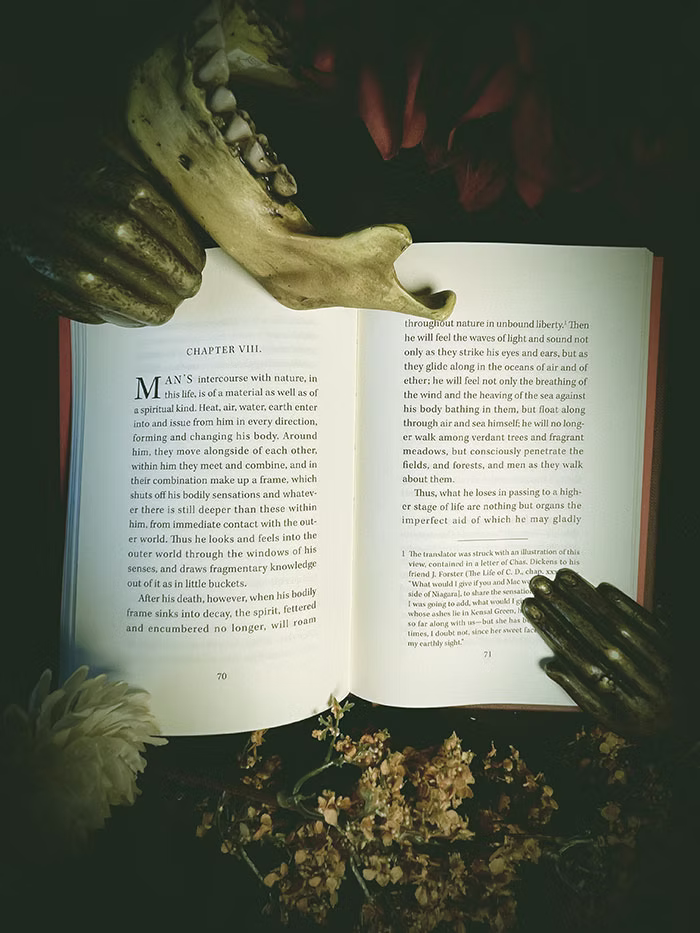 The Little Book of Life After Death
