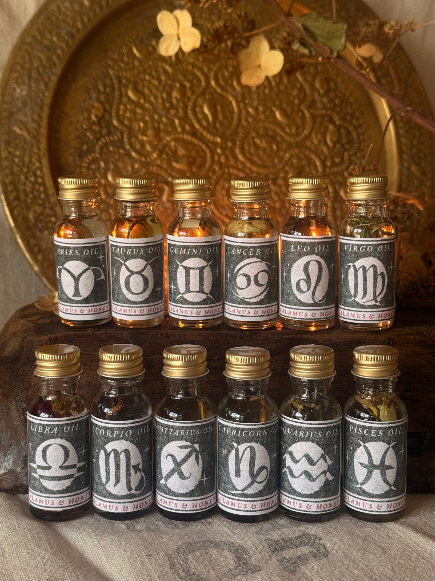 Aries Oil
