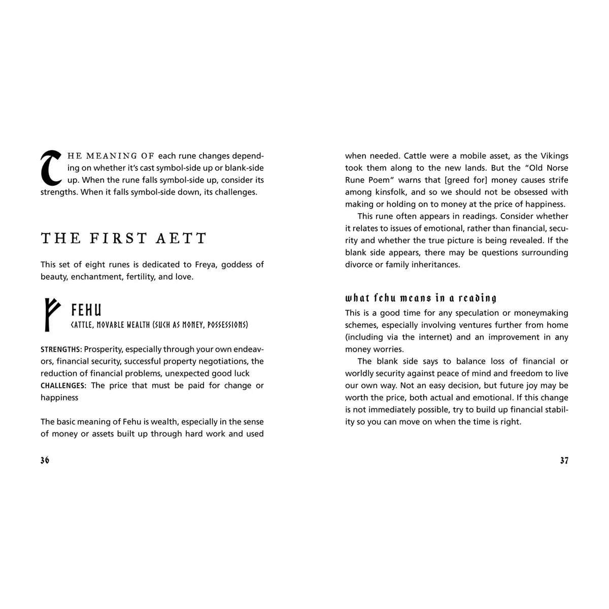 Essential Runes Kit: Reading the Ancient Symbols