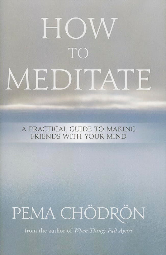 How to Meditate: A Practical Guide to Making Friends with Your Mind (used)