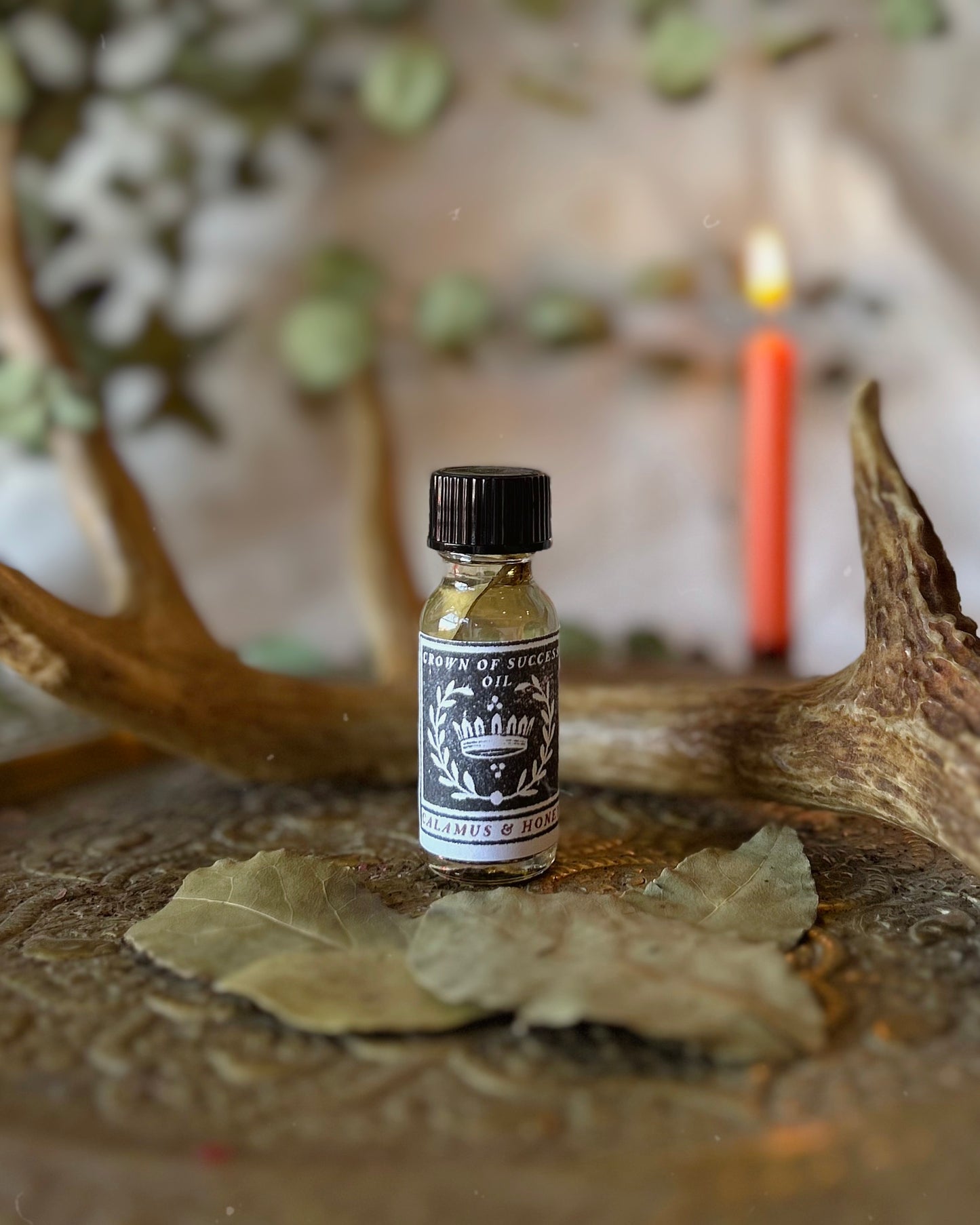 Crown of Success Oil