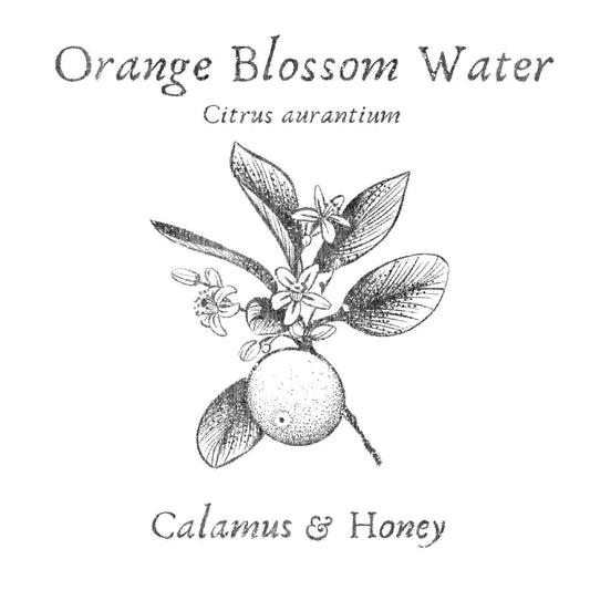 Orange Blossom Water