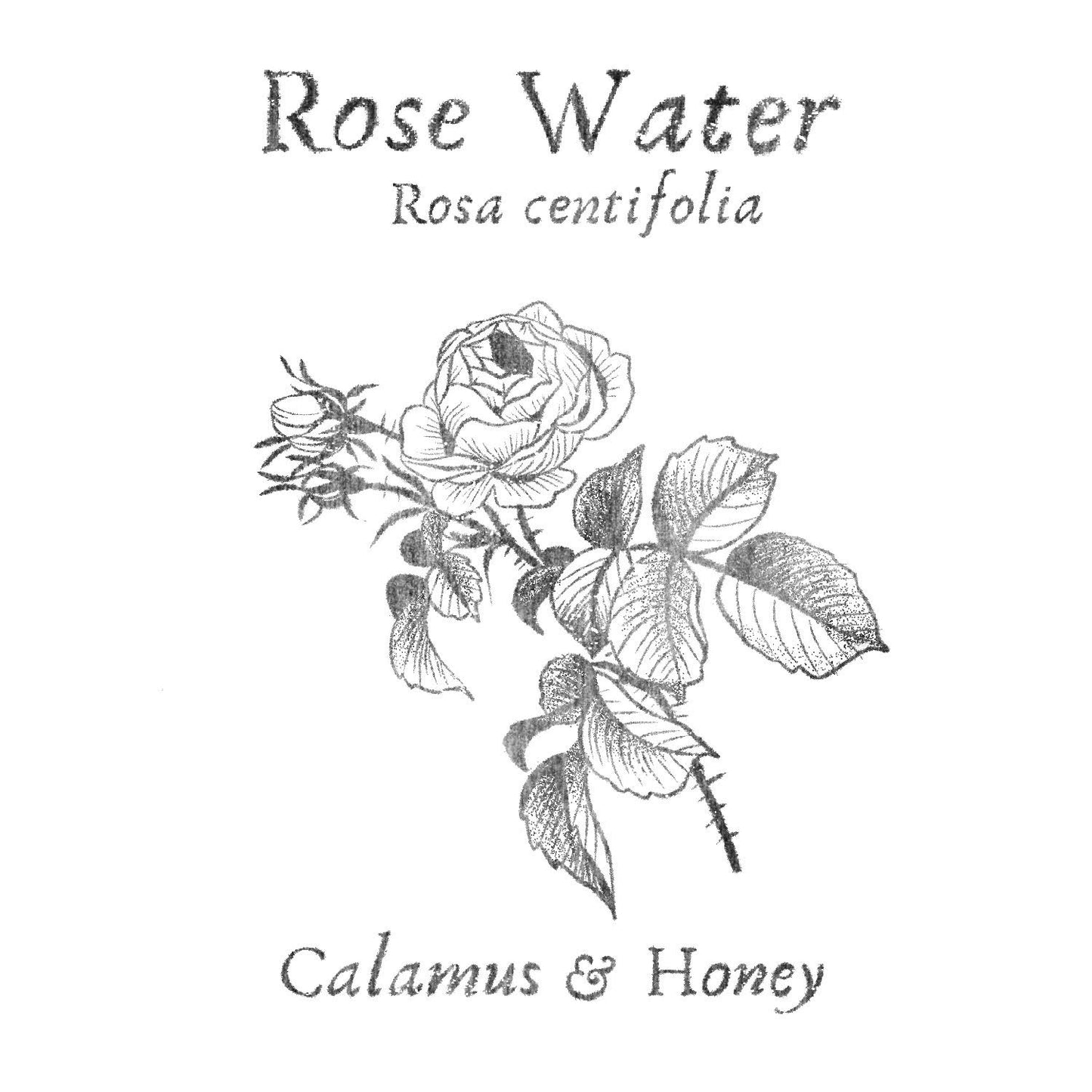 Rose Water