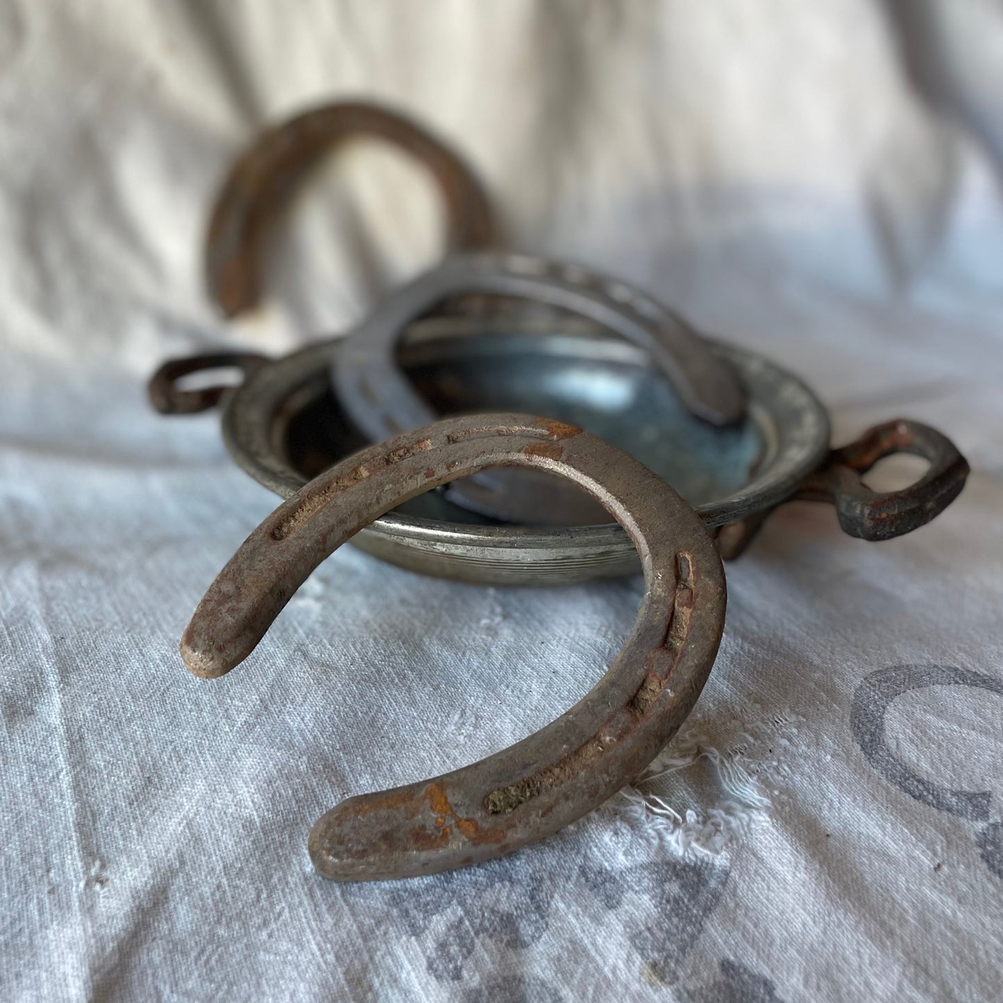 Steel Horseshoe