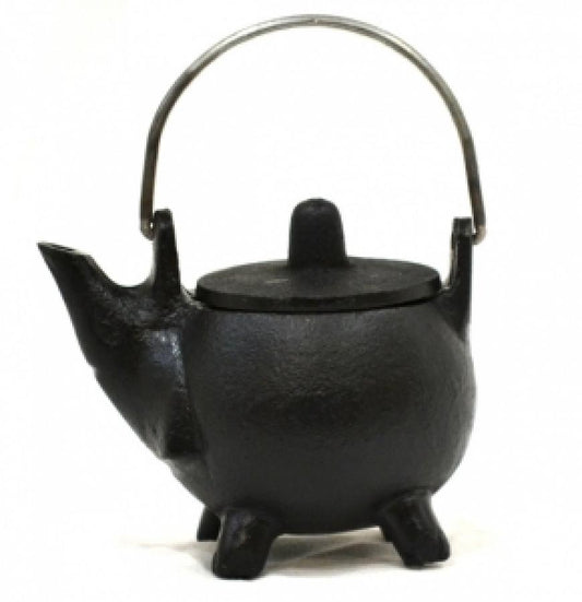 Cast Iron Tea Pot