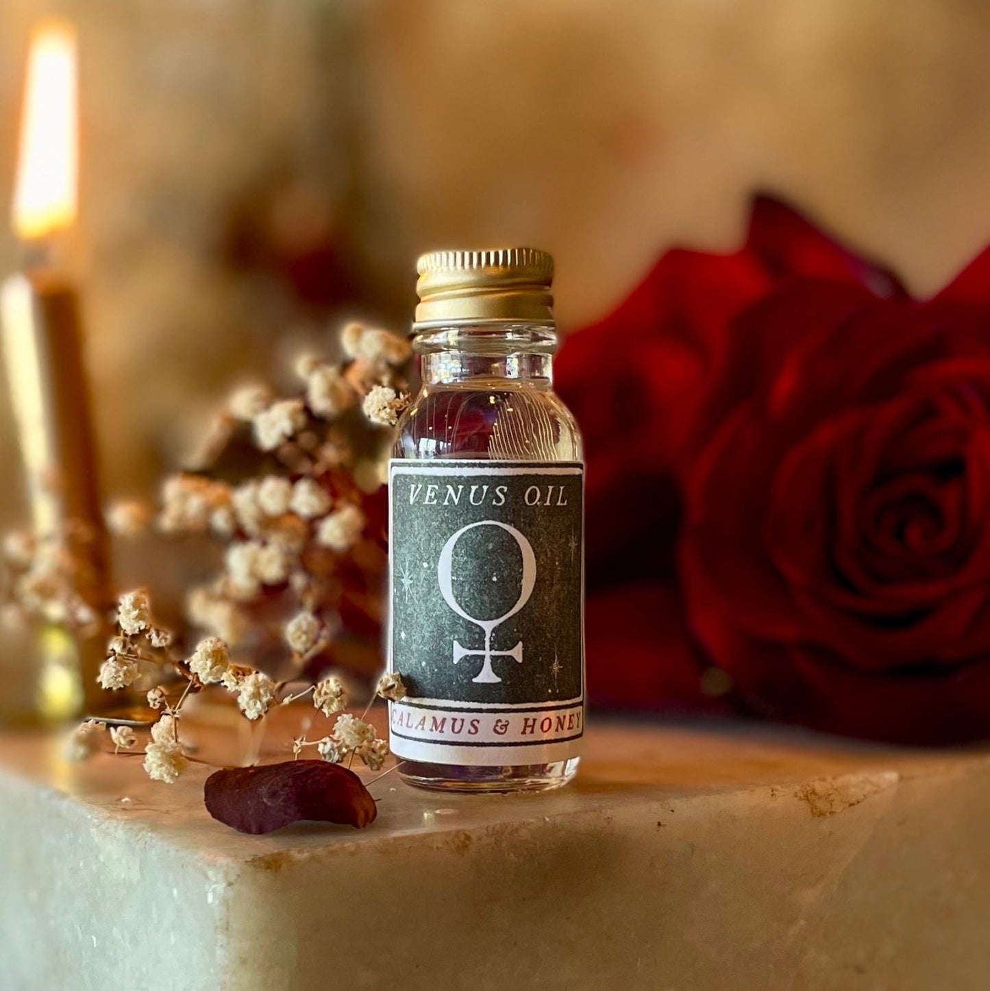 Venus Oil